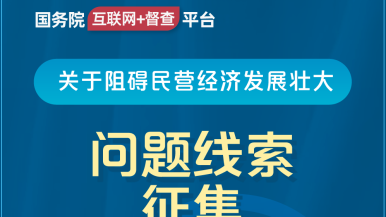 掰开逼操国务院“互联网+督查”平台公开征集阻碍民营经济发展壮大问题线索